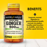 MASON NATURAL Ginger Supplement 500mg bottle with label