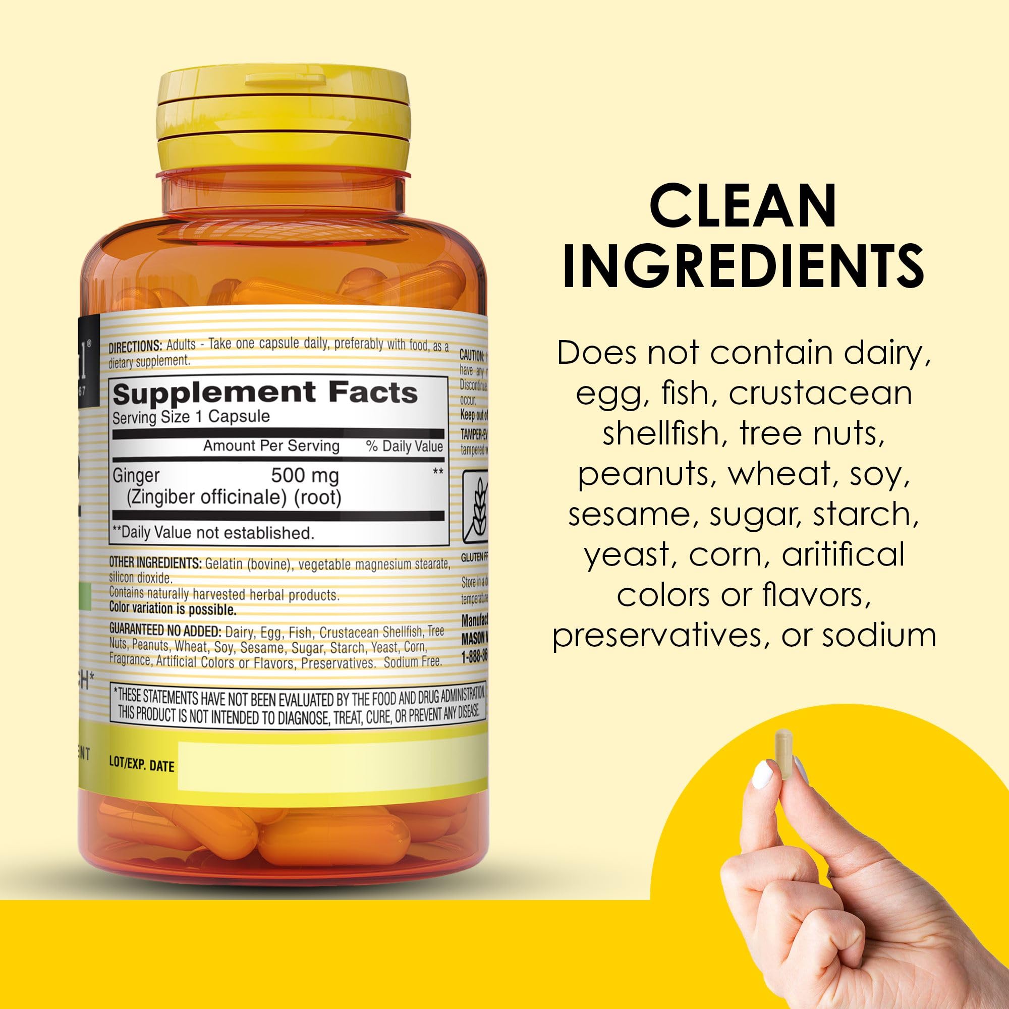 MASON NATURAL Ginger Supplement 500mg ingredients list