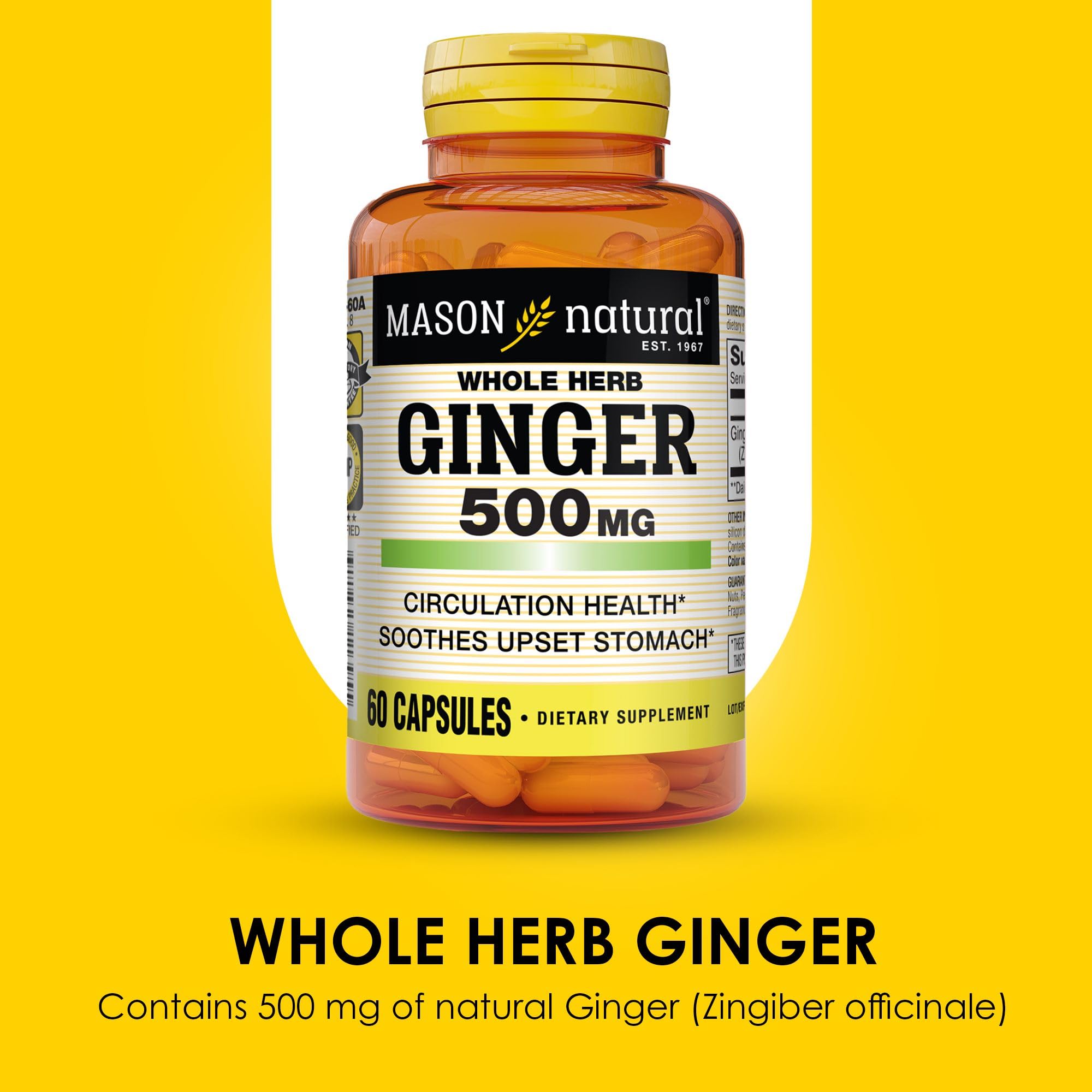 MASON NATURAL Ginger Supplement 500mg softgel close-up