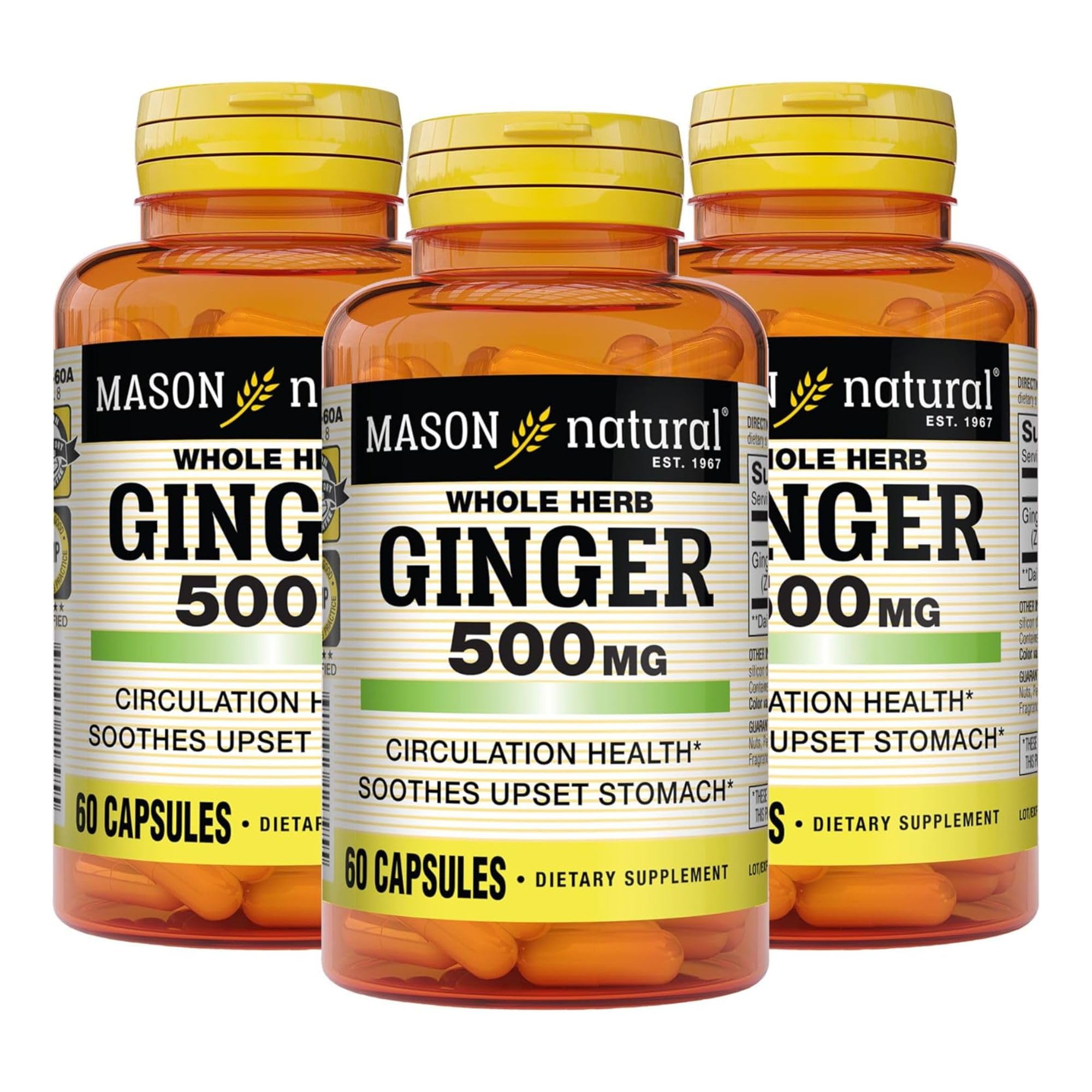 MASON NATURAL Ginger Supplement 500mg softgel front view