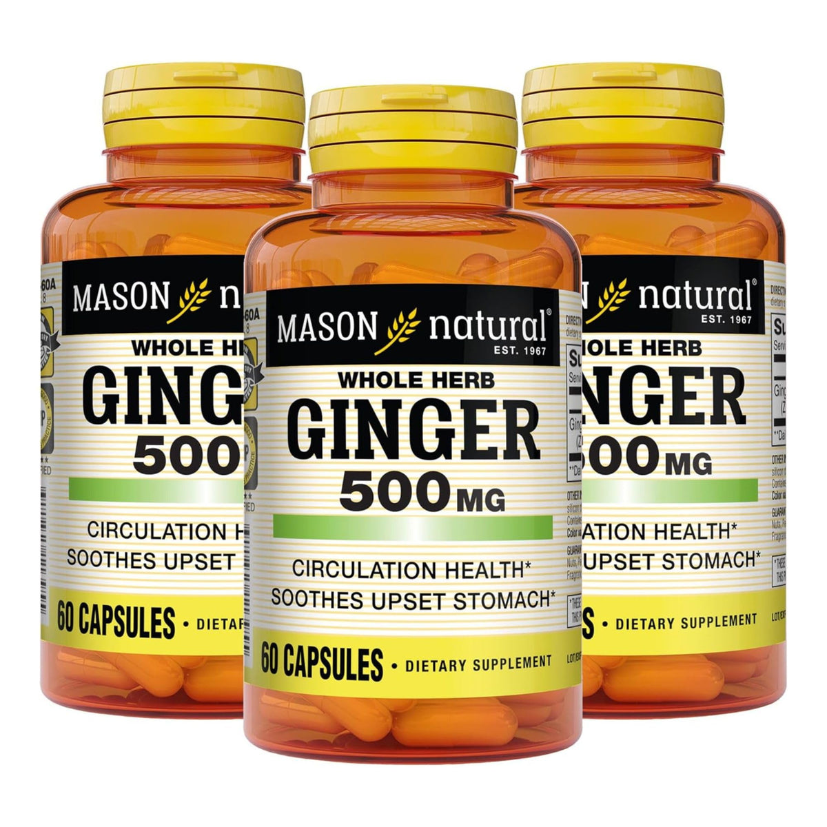 MASON NATURAL Ginger Supplement 500mg softgel front view