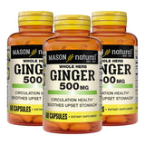 MASON NATURAL Ginger Supplement 500mg softgel front view