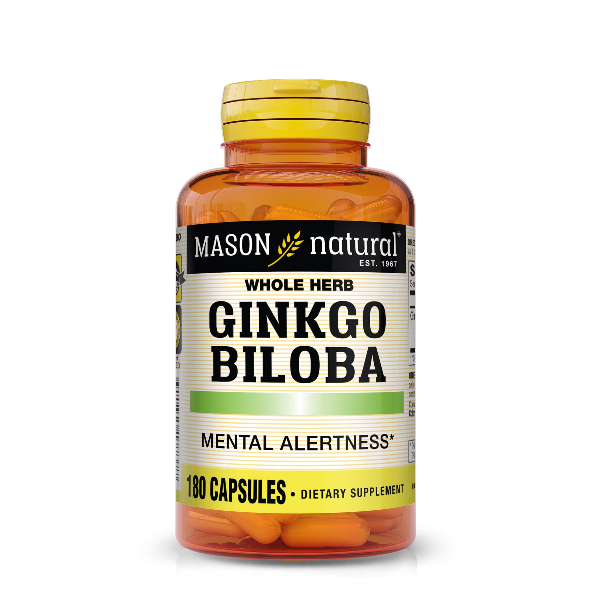 MASON NATURAL Ginkgo Biloba 125 mg capsules front view
