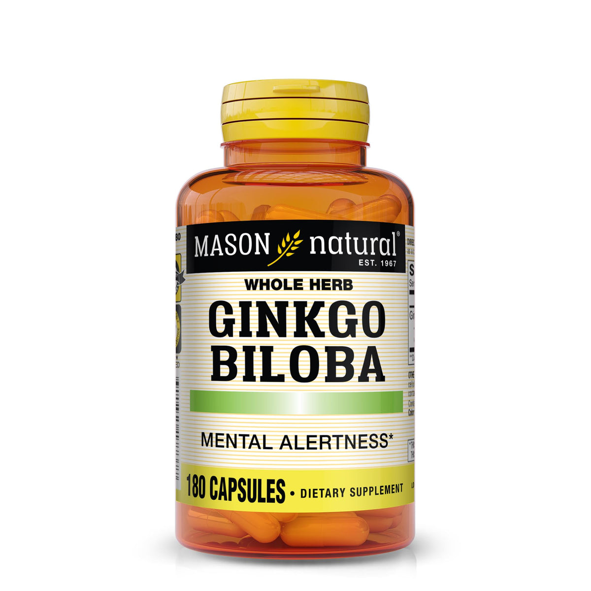 MASON NATURAL Ginkgo Biloba 125 mg capsules front view