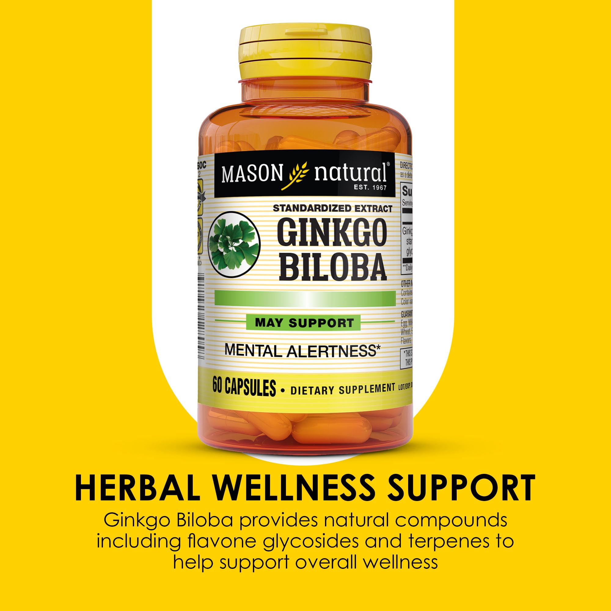 MASON NATURAL Ginkgo Biloba 60mg supplement capsule close-up
