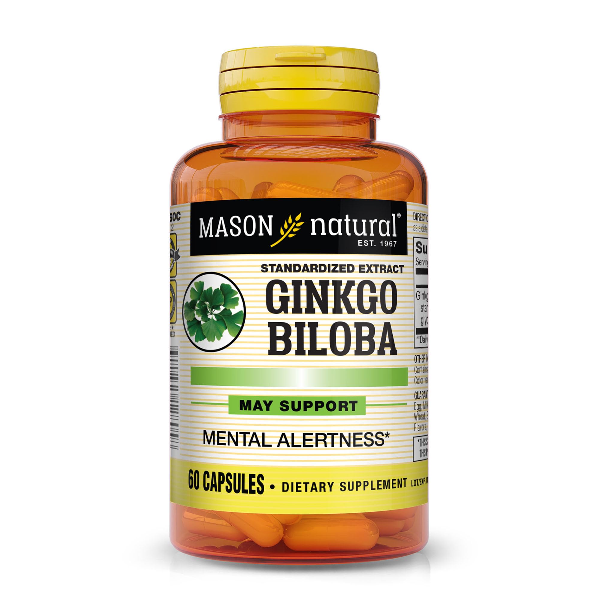 MASON NATURAL Ginkgo Biloba 60mg supplement front view
