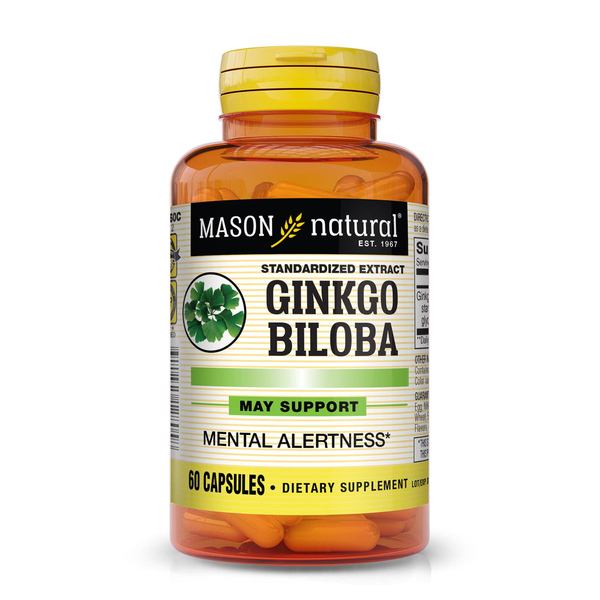 MASON NATURAL Ginkgo Biloba 60mg supplement front view