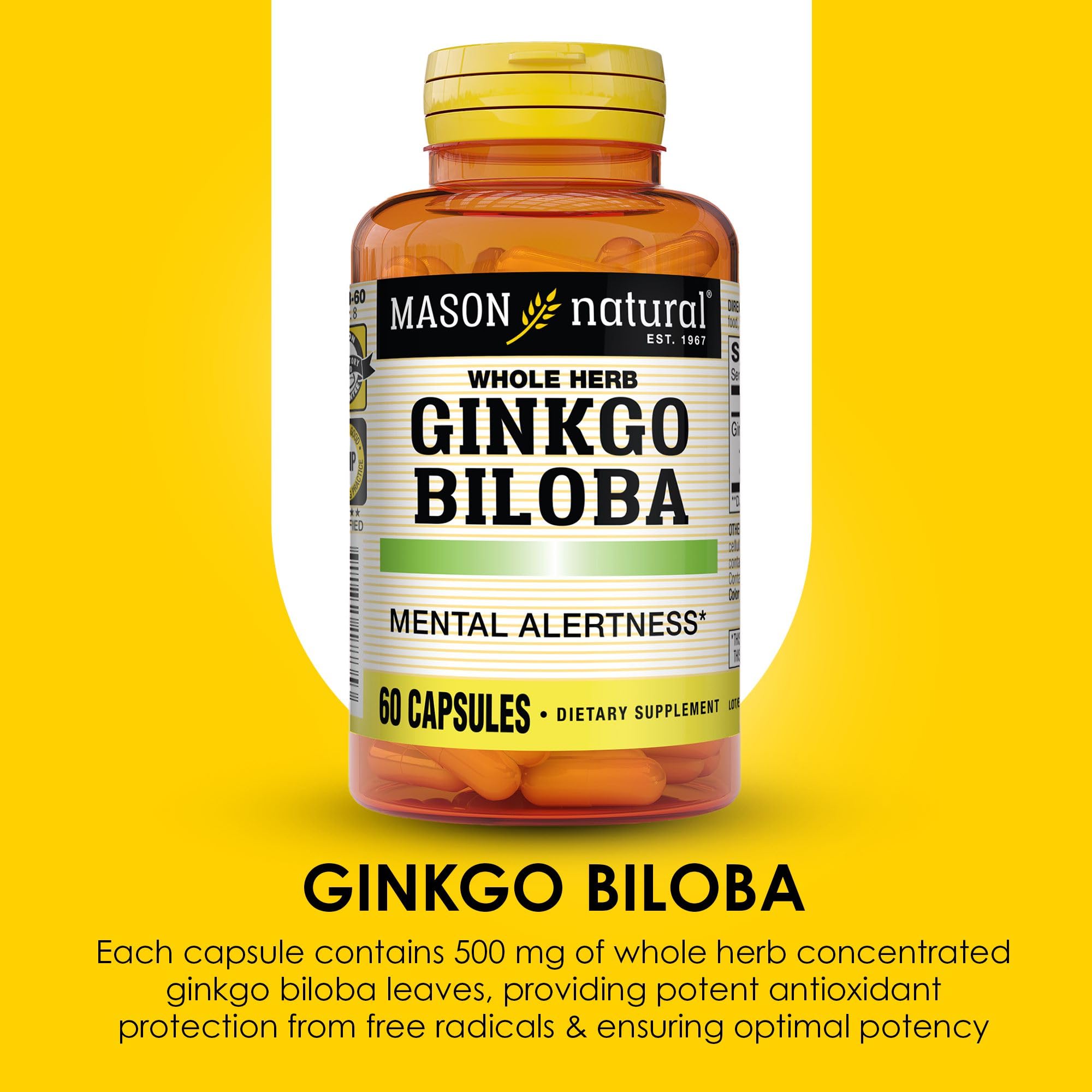 MASON NATURAL Ginkgo Biloba Capsules 500mg close-up of capsules