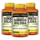 MASON NATURAL Ginkgo Biloba Capsules 500mg front view