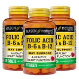 MASON NATURAL Turmeric Supplement capsule bottle front view