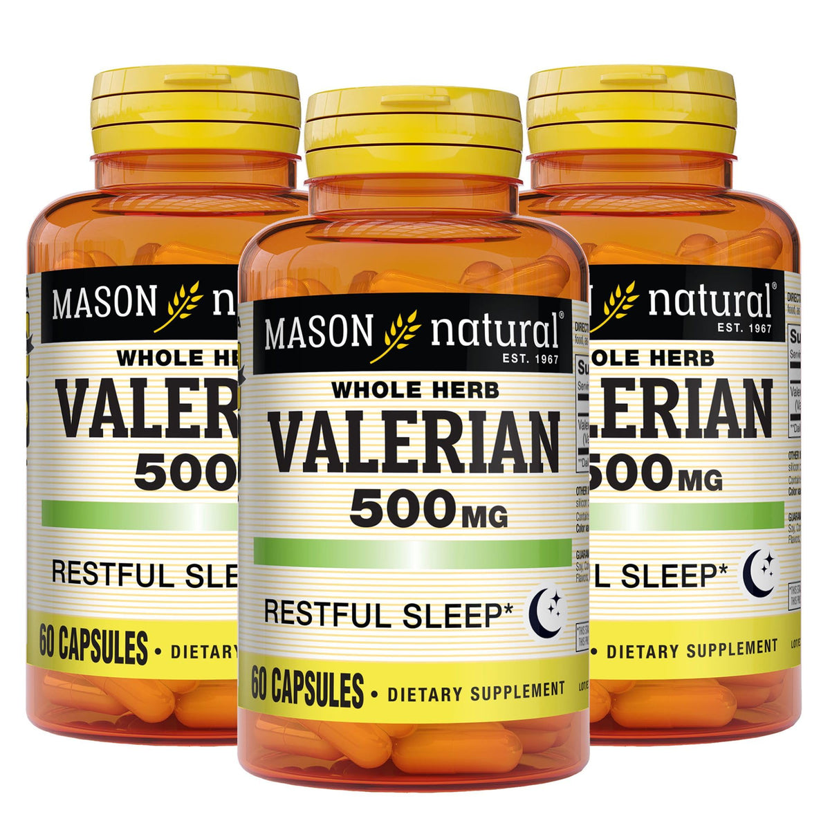 MASON NATURAL Valerian Root Capsules 500mg front view