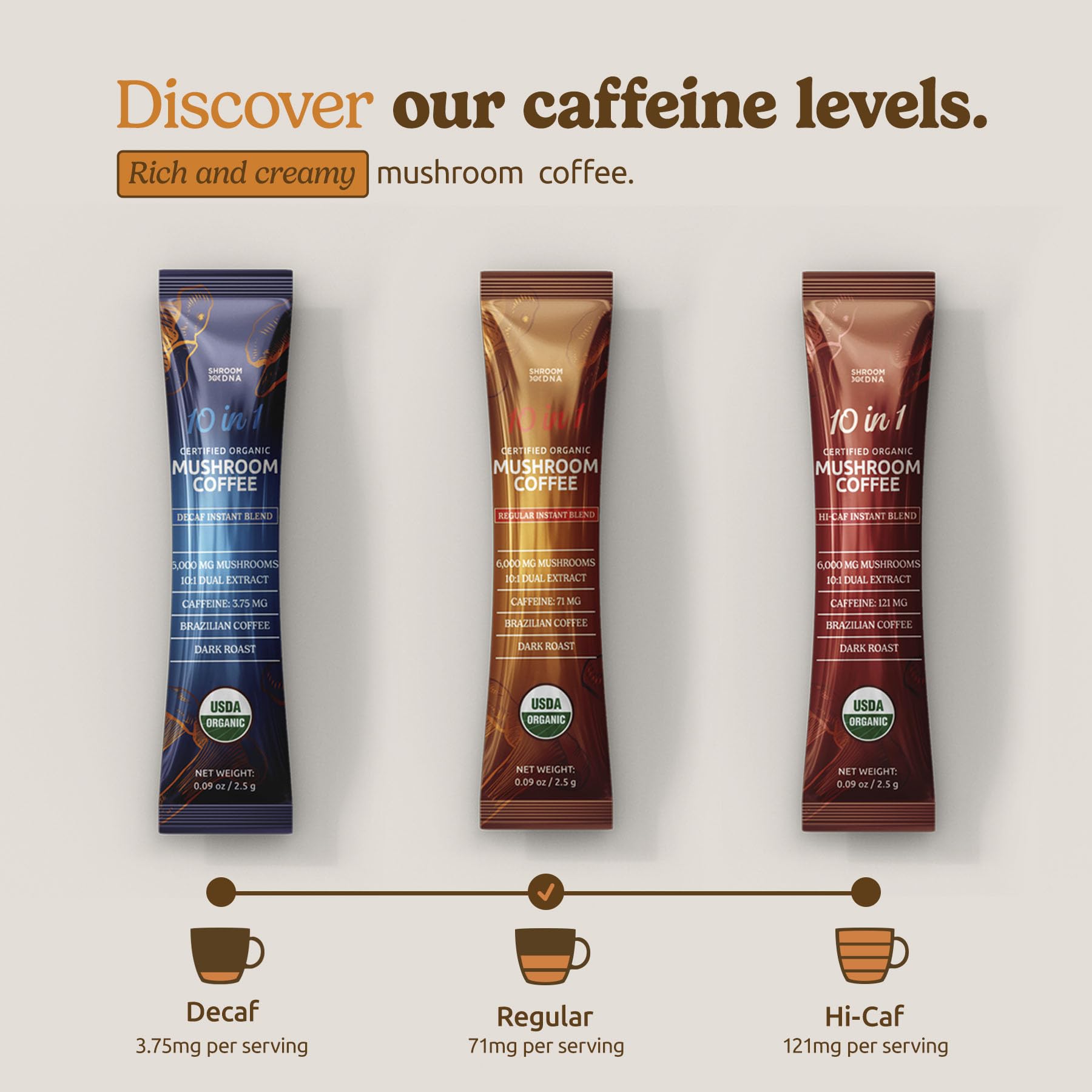 MATCHA DNA Mushroom Coffee Blend 159g packaging on kitchen counter