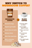 MATCHA DNA Mushroom Coffee Blend ingredients list