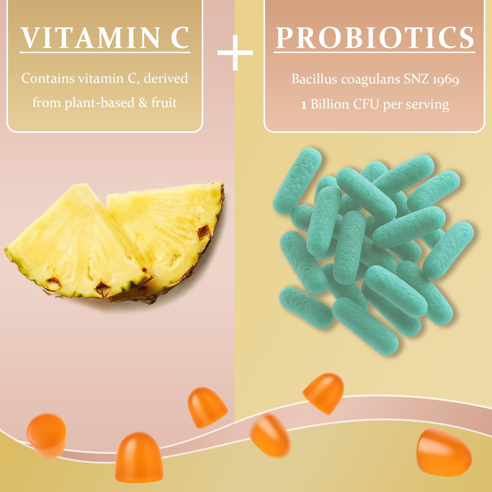MATOP Probiotic Gummies for Women close-up of two gummies