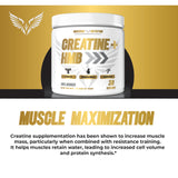 Maverick Nutrition Creatine + HMB 150g supplement scoop