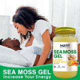 MAX FIT Sea Moss Gel 24 oz gel texture close-up