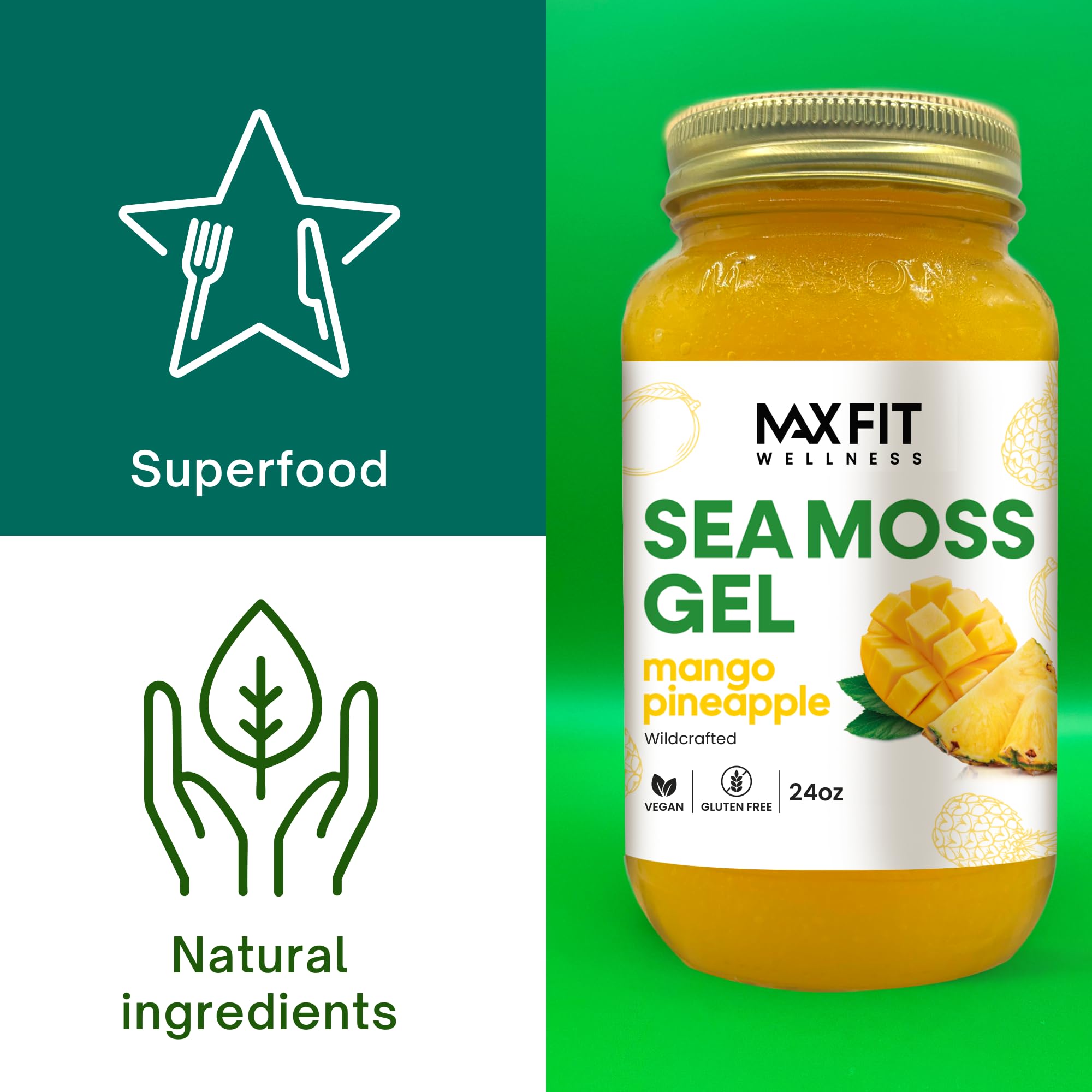MAX FIT Sea Moss Gel 24 oz jar in kitchen setting