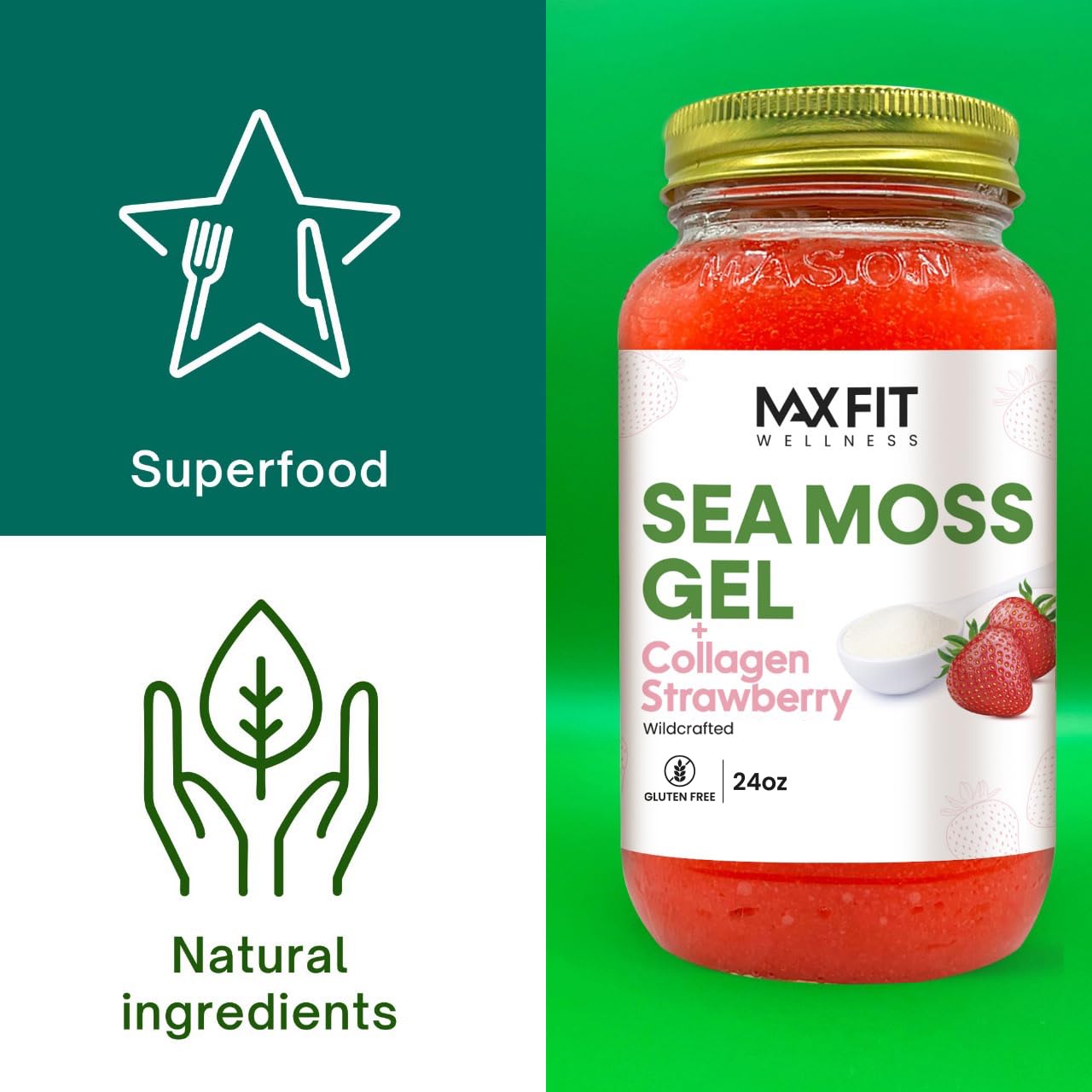 MAX FIT Sea Moss Gel 24 oz jar on kitchen counter