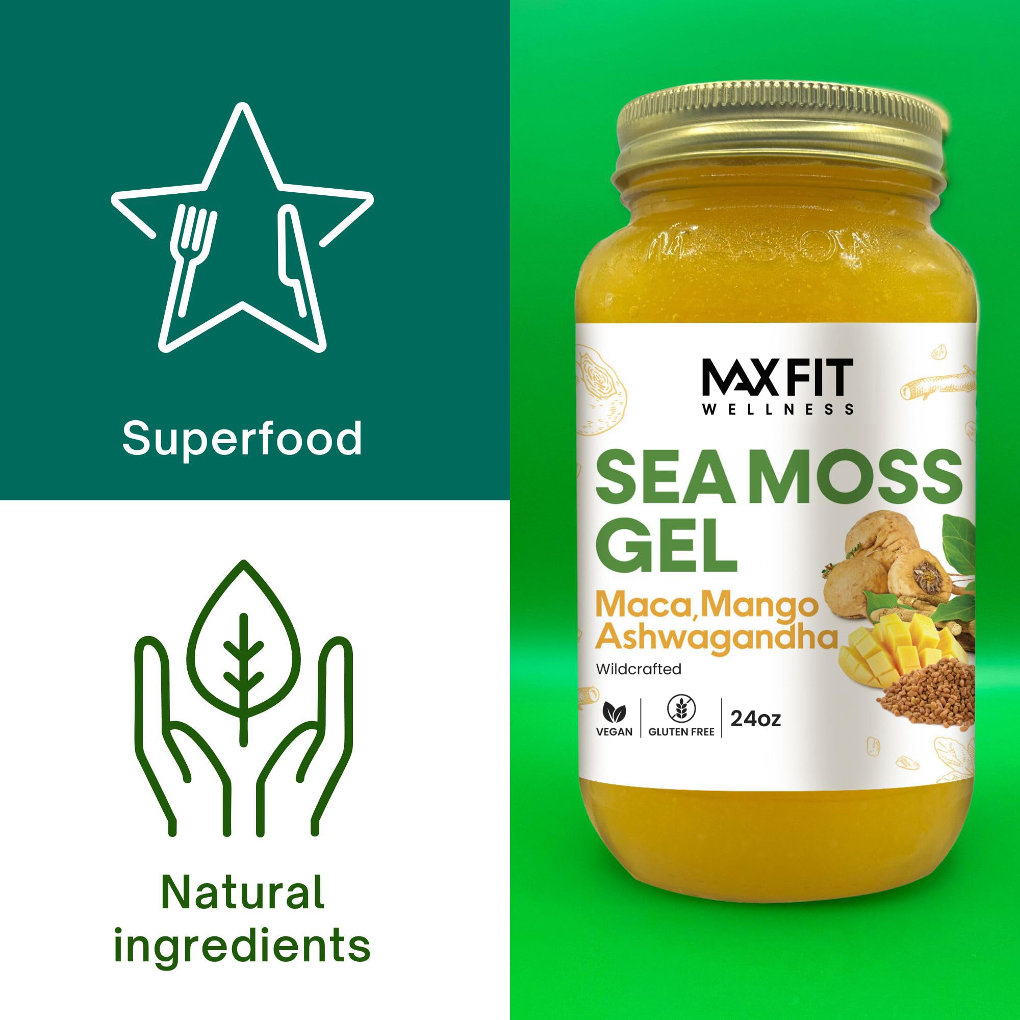 MAX FIT Sea Moss Gel 24 oz jar on kitchen counter