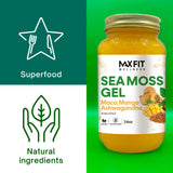 MAX FIT Sea Moss Gel 24 oz jar on kitchen counter