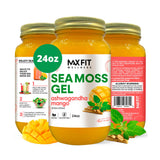 MAX FIT Sea Moss Gel 24 oz mason jar front view
