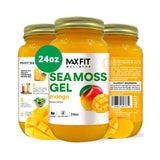MAX FIT Sea Moss Gel 24 oz mason jar front view