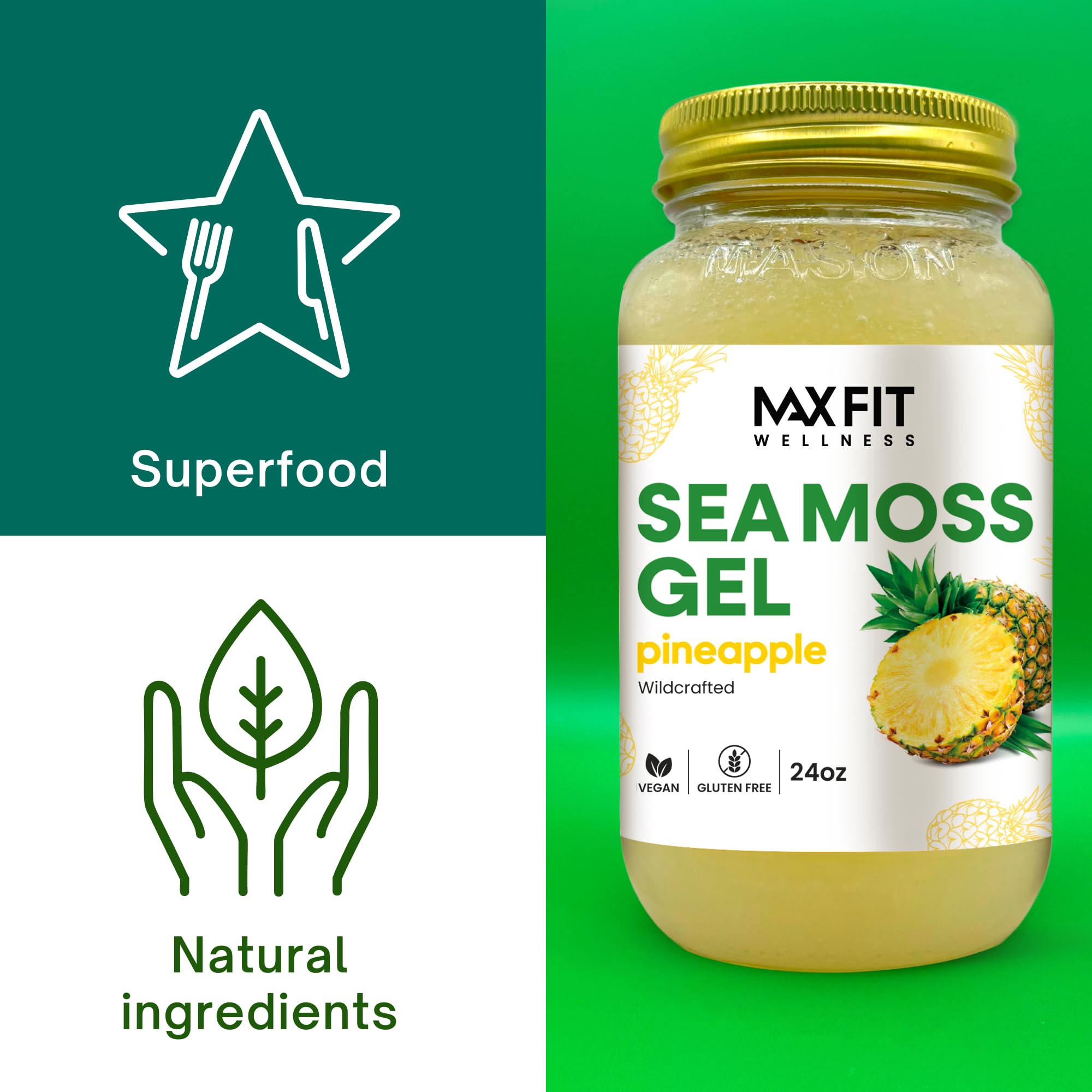 MAX FIT Sea Moss Gel displayed with fresh ingredients