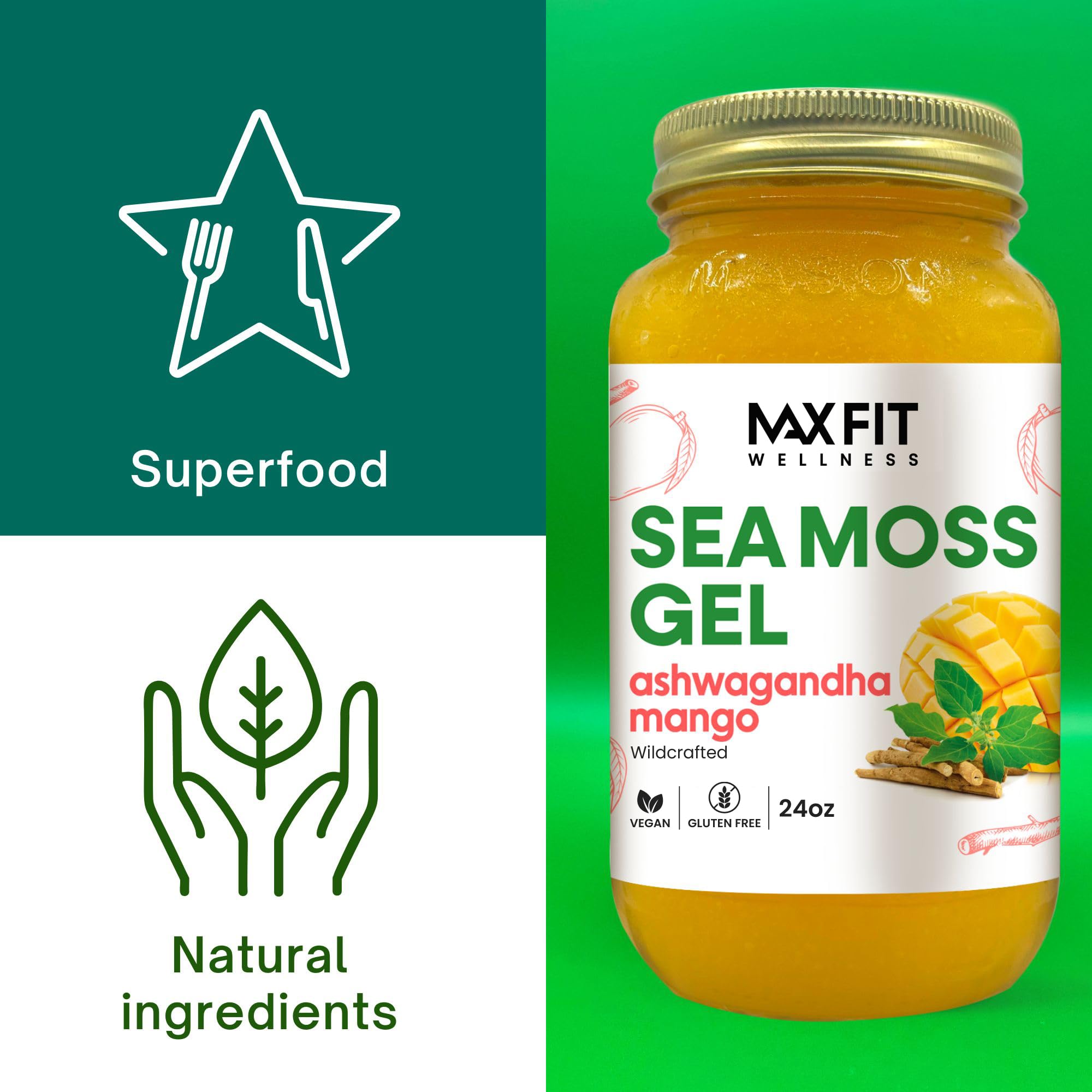 MAX FIT Sea Moss Gel on a kitchen counter