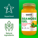 MAX FIT Sea Moss Gel on a kitchen counter