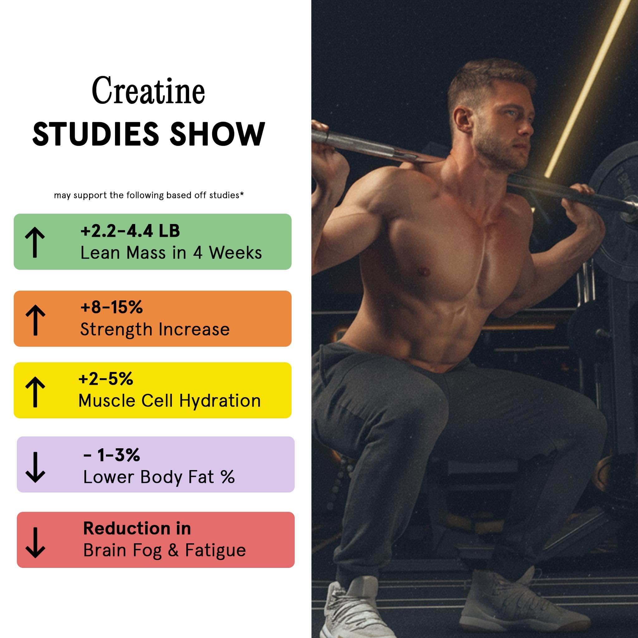 Max Gummies Creatine Monohydrate Gummies ingredients list