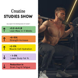 Max Gummies Creatine Monohydrate Gummies ingredients list