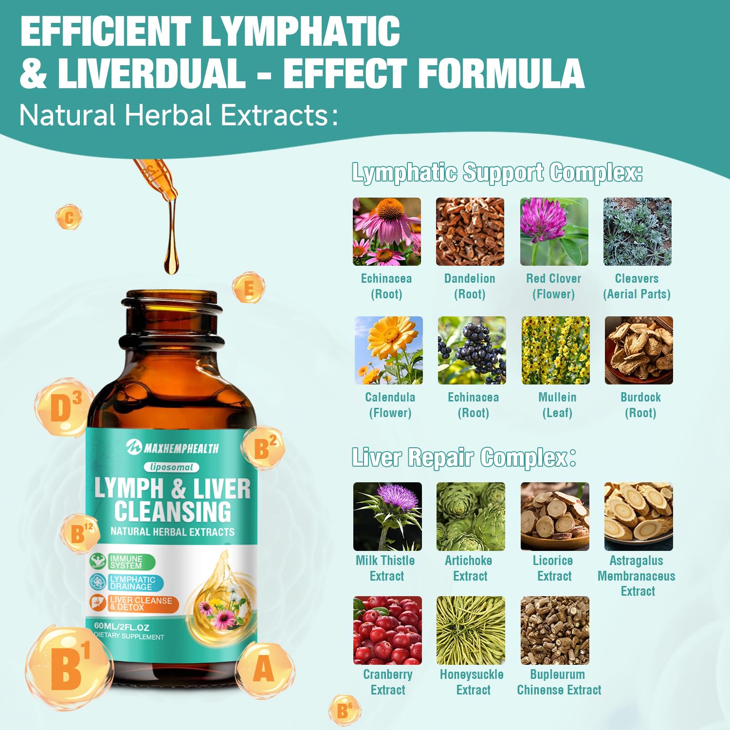 Maxhemphealth Echinacea Lymphatic Drainage Drops 60ML bottle with cap