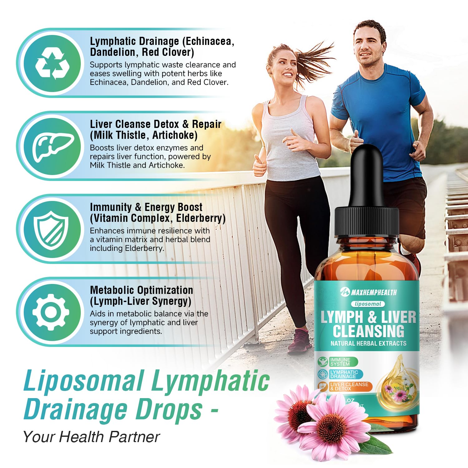 Maxhemphealth Echinacea Lymphatic Drainage Drops 60ML with measuring dropper