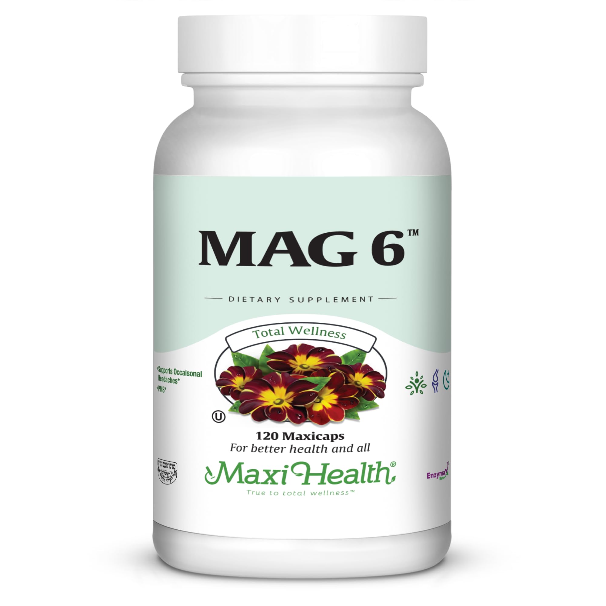 Maxi Health MAG 6 Magnesium Supplement front view