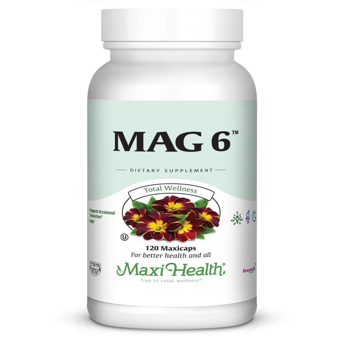 Maxi Health MAG 6 Magnesium Supplement front view