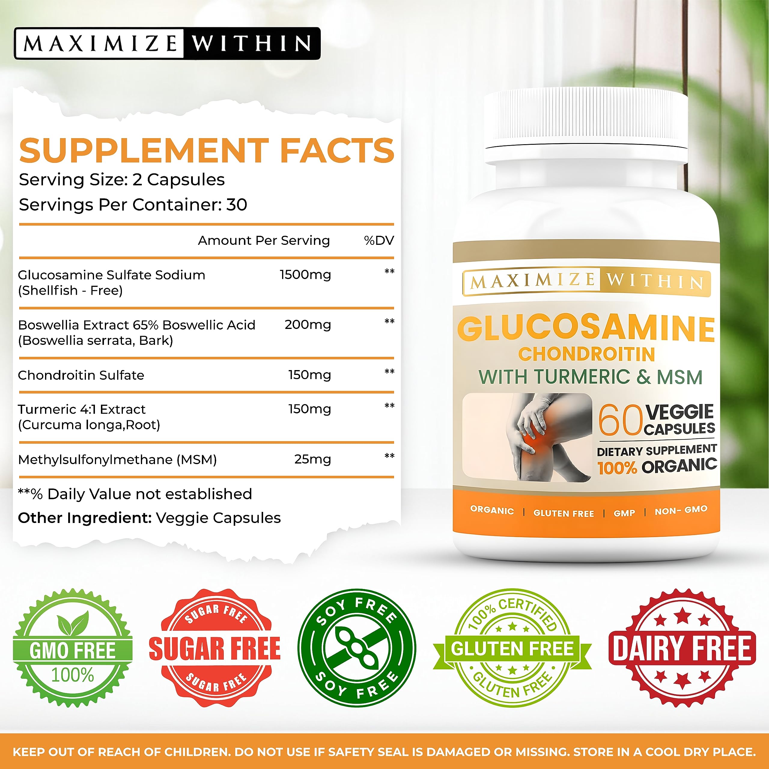 Maximize Within Chondroitin Supplement ingredients list