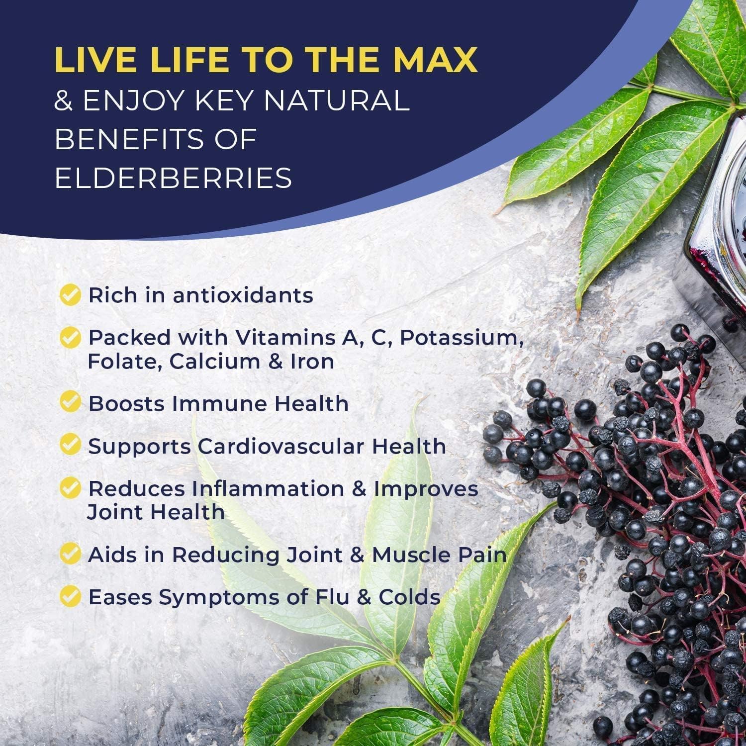 MaxImmunity Elderberry Liquid Drops packaging with ingredients list