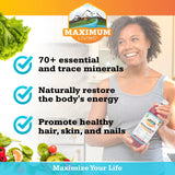 Maximum Living Trace Minerals 454g liquid in a glass
