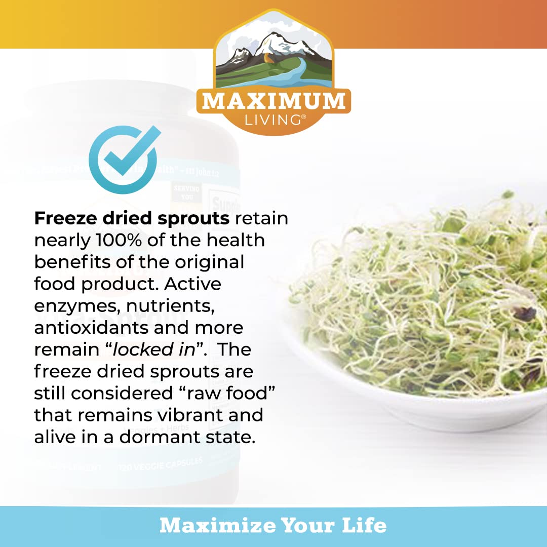 Maximum Living VitaSprout blended vitamin and mineral supplement back view