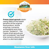 Maximum Living VitaSprout blended vitamin and mineral supplement back view