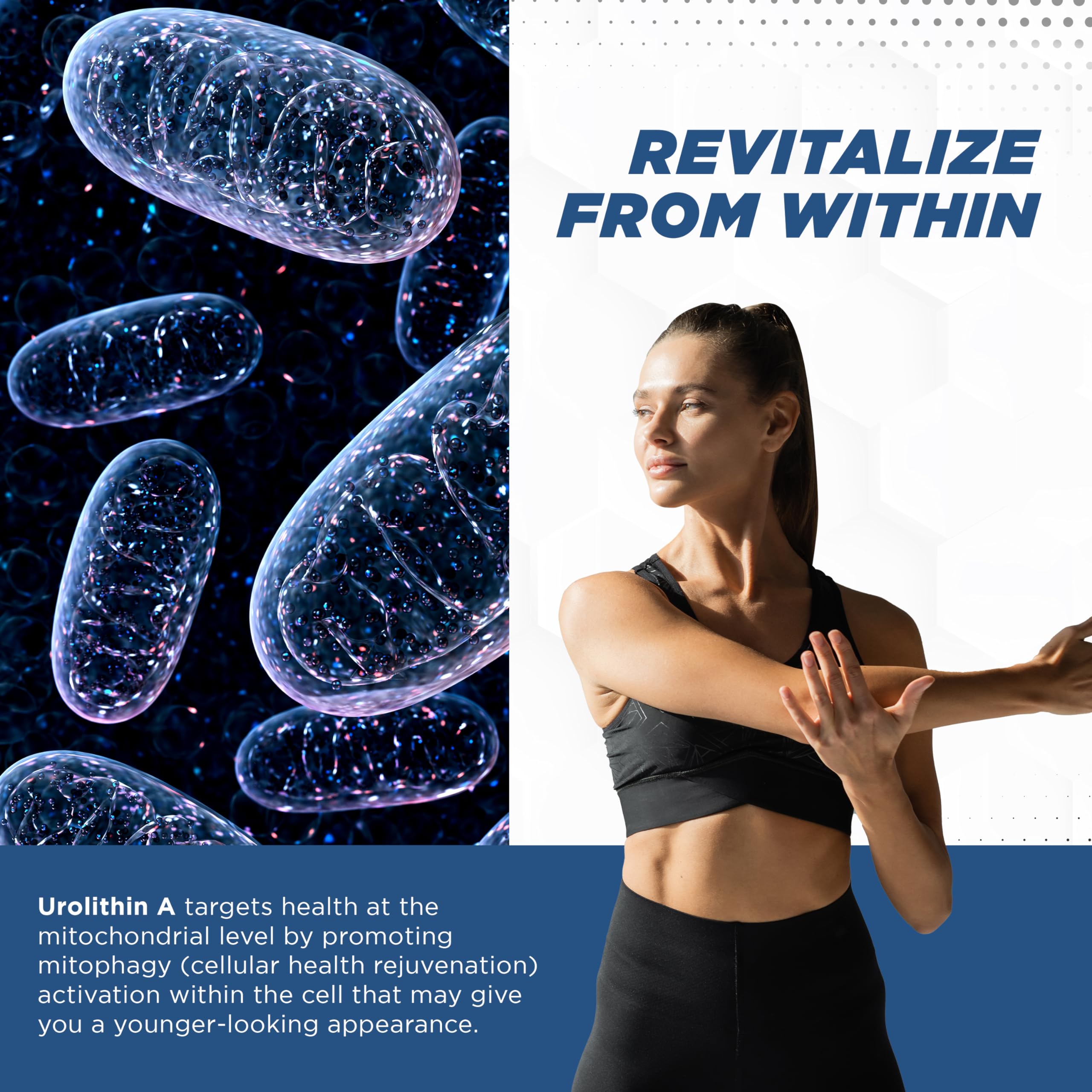 MAXLIFE NATURALS Urolithin A 500mg capsules with dosage instructions