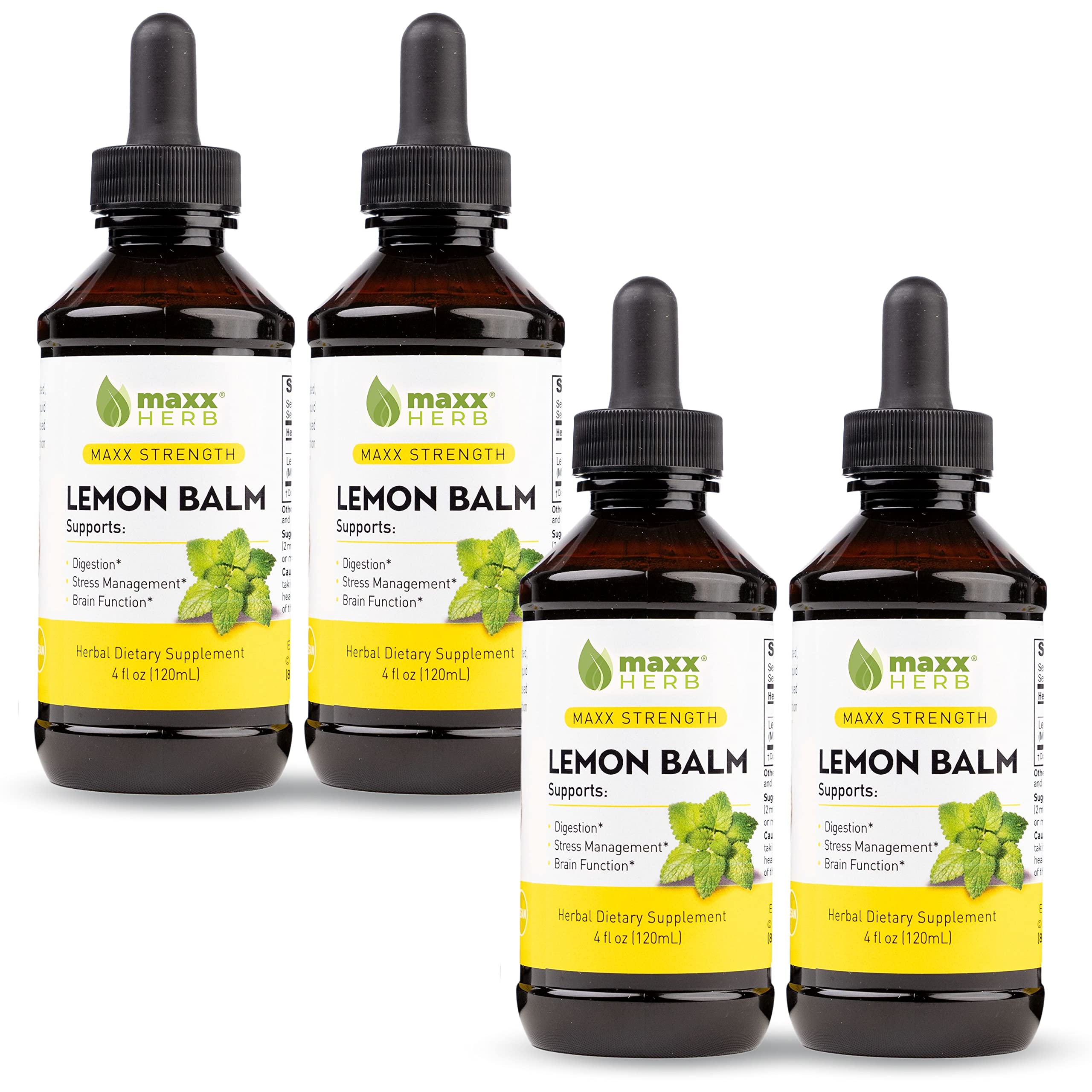 Maxx Herb Lemon Balm Extract 4 Fl Oz bottle front view
