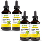 Maxx Herb Lemon Balm Extract 4 Fl Oz bottle front view