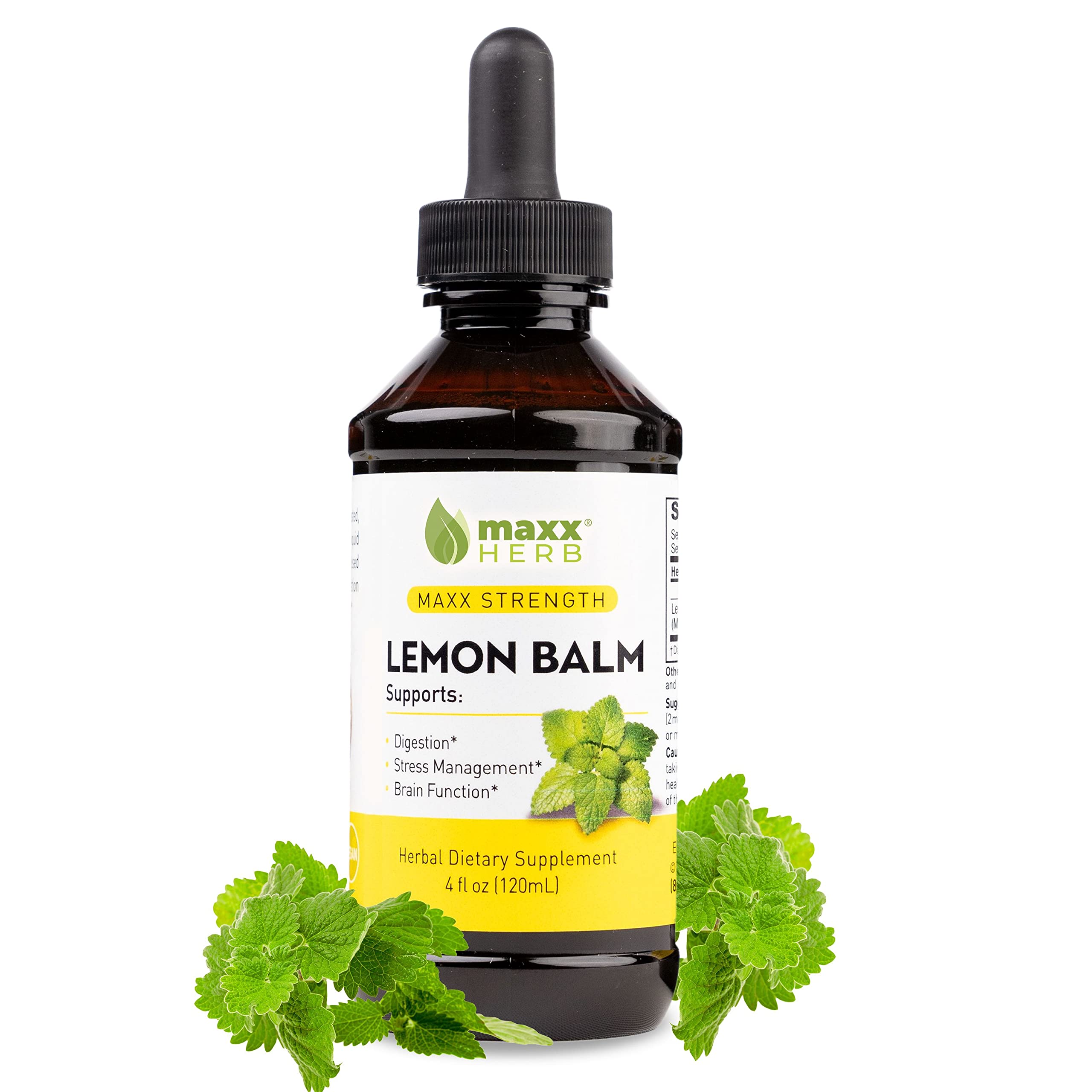 Maxx Herb Lemon Balm Extract 4 oz bottle front view