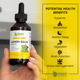 Maxx Herb Lemon Balm Extract liquid tincture close-up