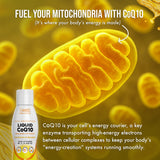 MBS Biotechnology Liquid CoQ10 Supplement 120mg bottle with vitamins