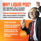 MBS Biotechnology Super PQQ Liquid on a kitchen counter