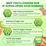Mchokuu Alpha Lipoic Acid Gummies with two gummies on a table
