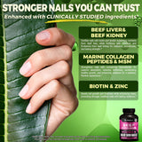 MD Supplements Beef Organ Capsules displayed with natural background
