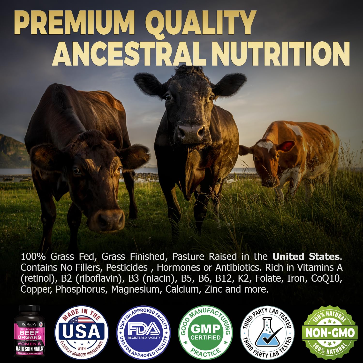 MD Supplements Beef Organ Capsules on a kitchen counter